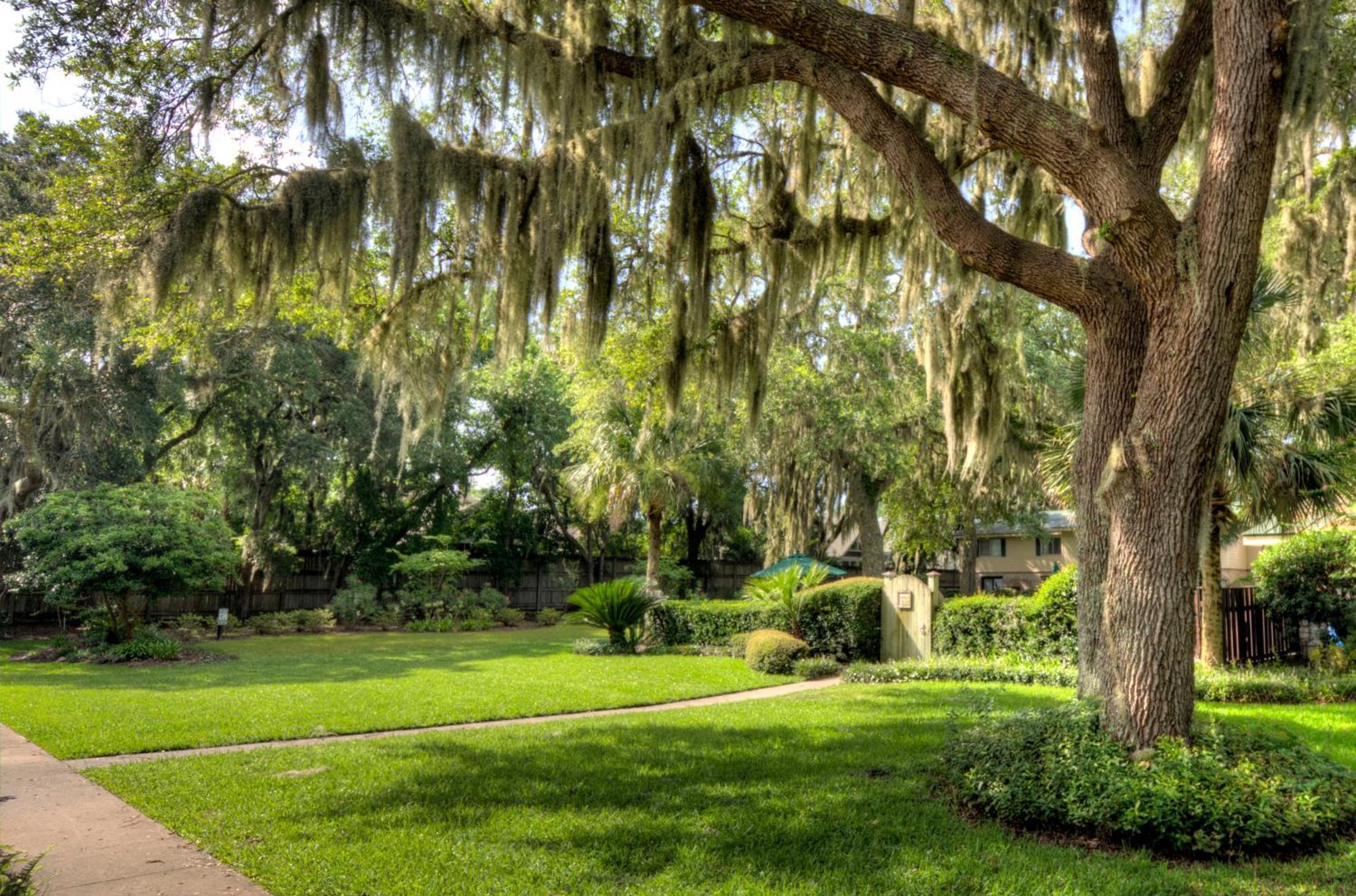 Turtle Cove- 2 Bedroom 1 And A Half Bathrooms St. Simons Island Eksteriør billede